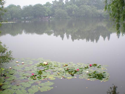 深圳水質檢測 深圳水質檢測