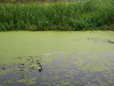 深圳水質檢測 深圳水質檢測