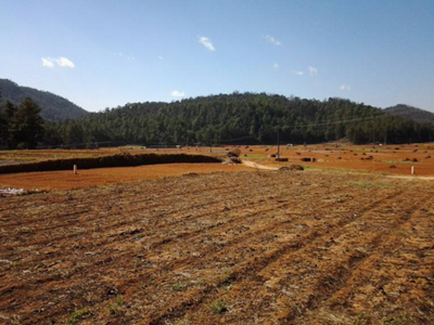 深圳水質檢測機構