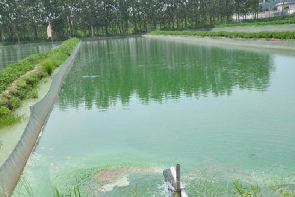 養(yǎng)殖水質檢測